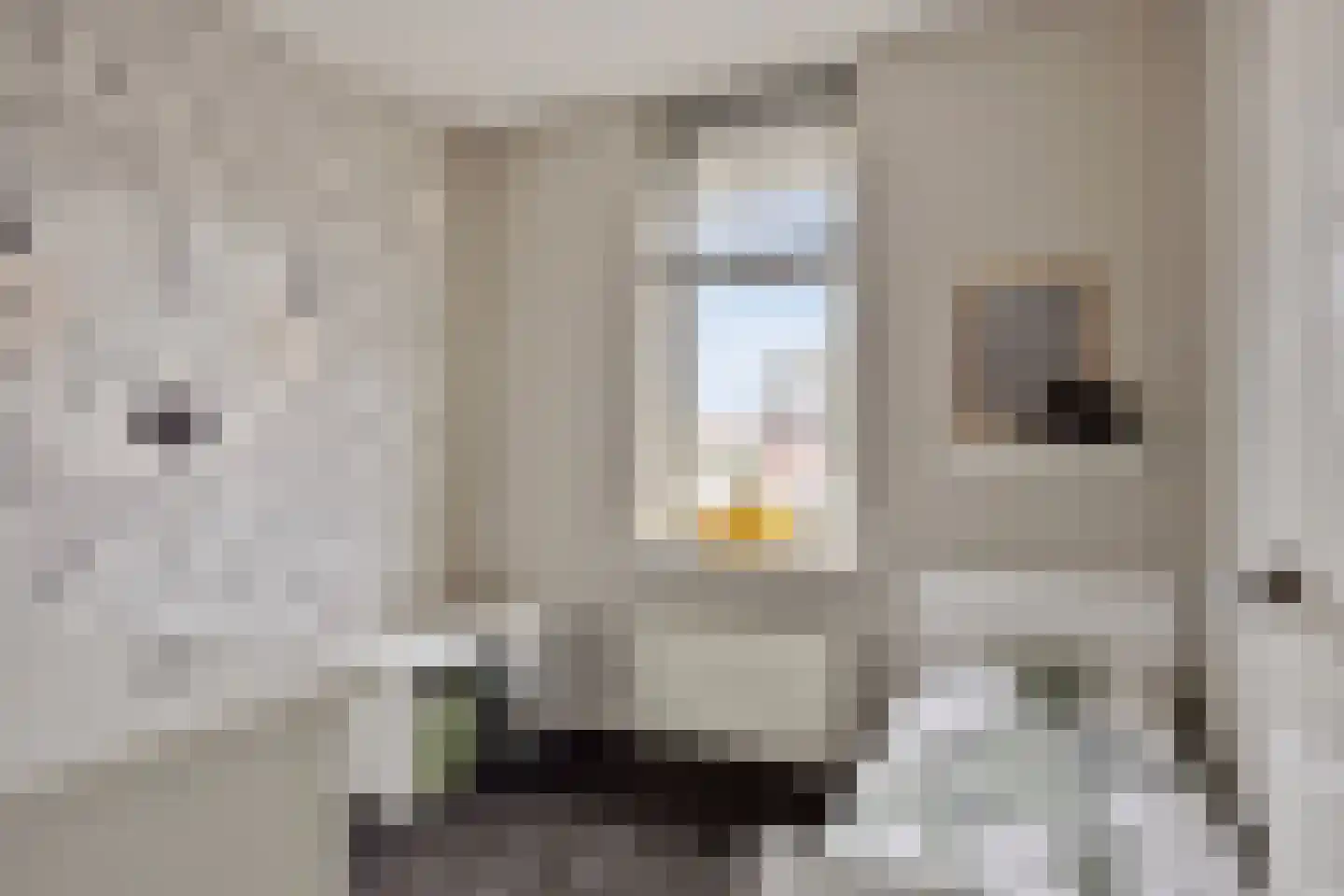 Eekhoornnest 14 Scherpenzeel thumbnail 17