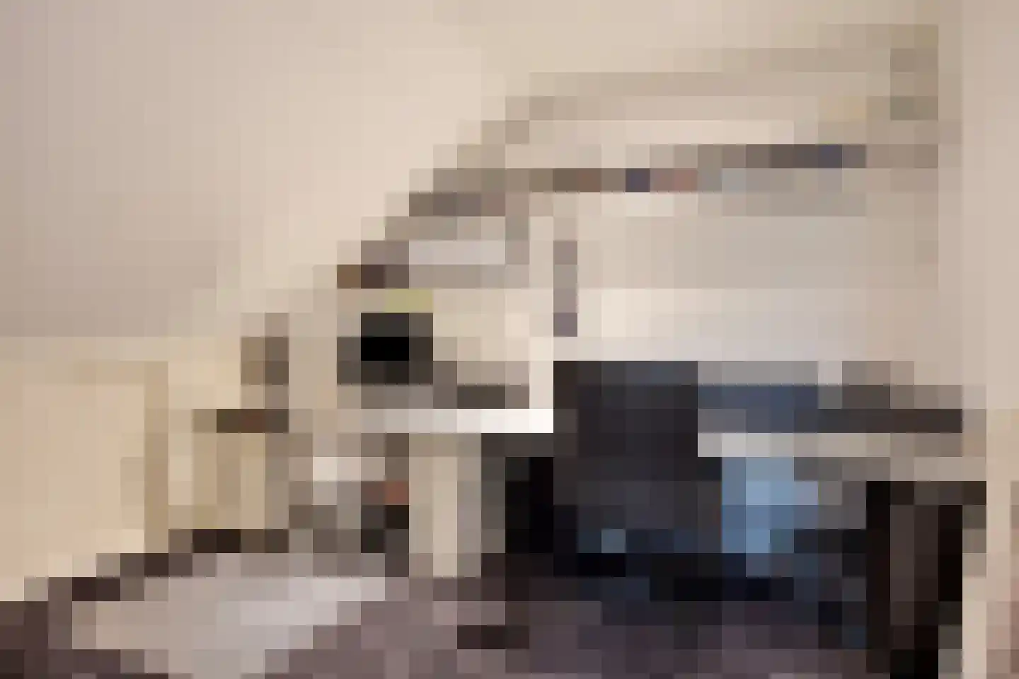 Eekhoornnest 14 Scherpenzeel thumbnail 24