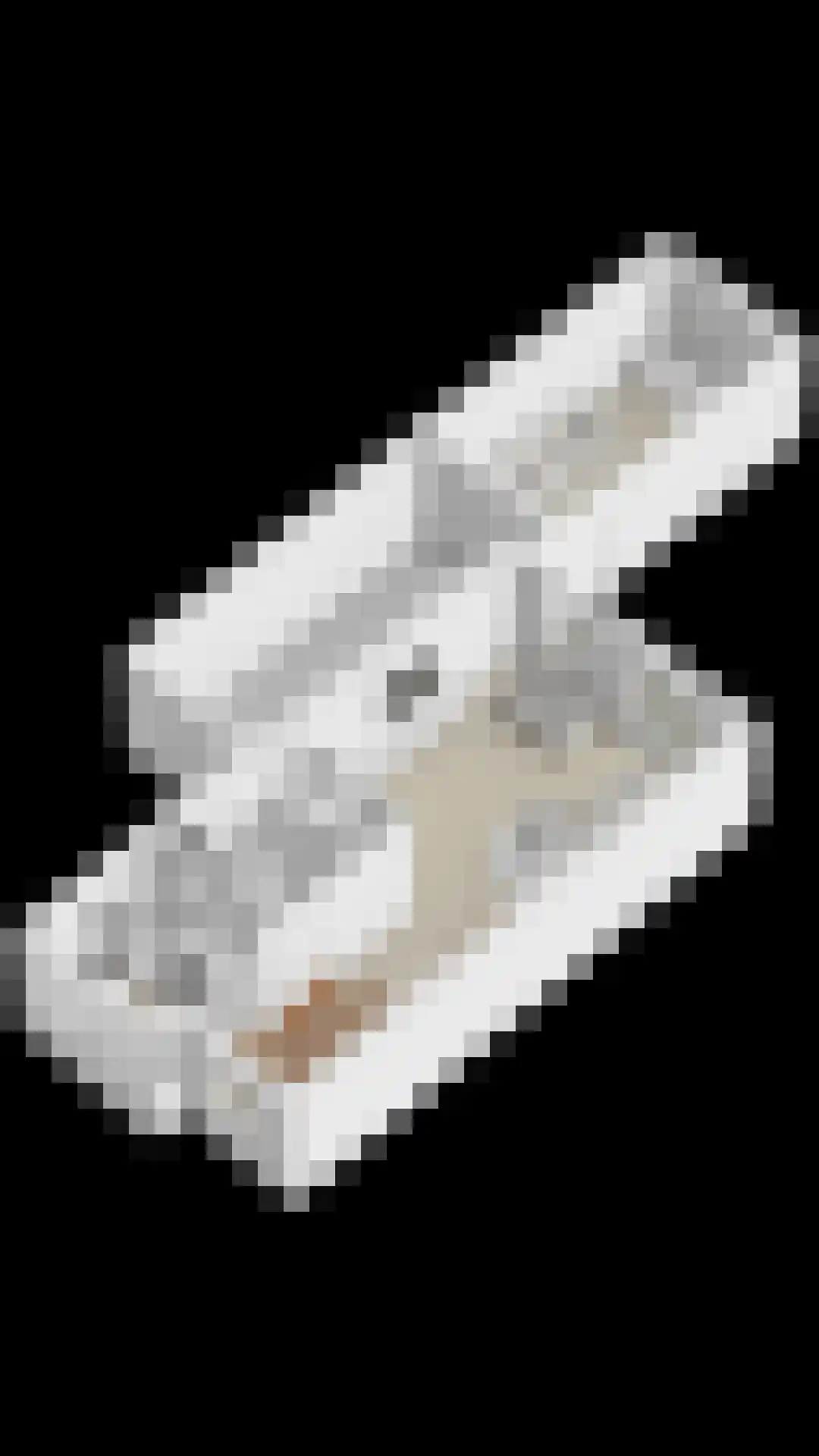 Eekhoornnest 14 Scherpenzeel thumbnail 39