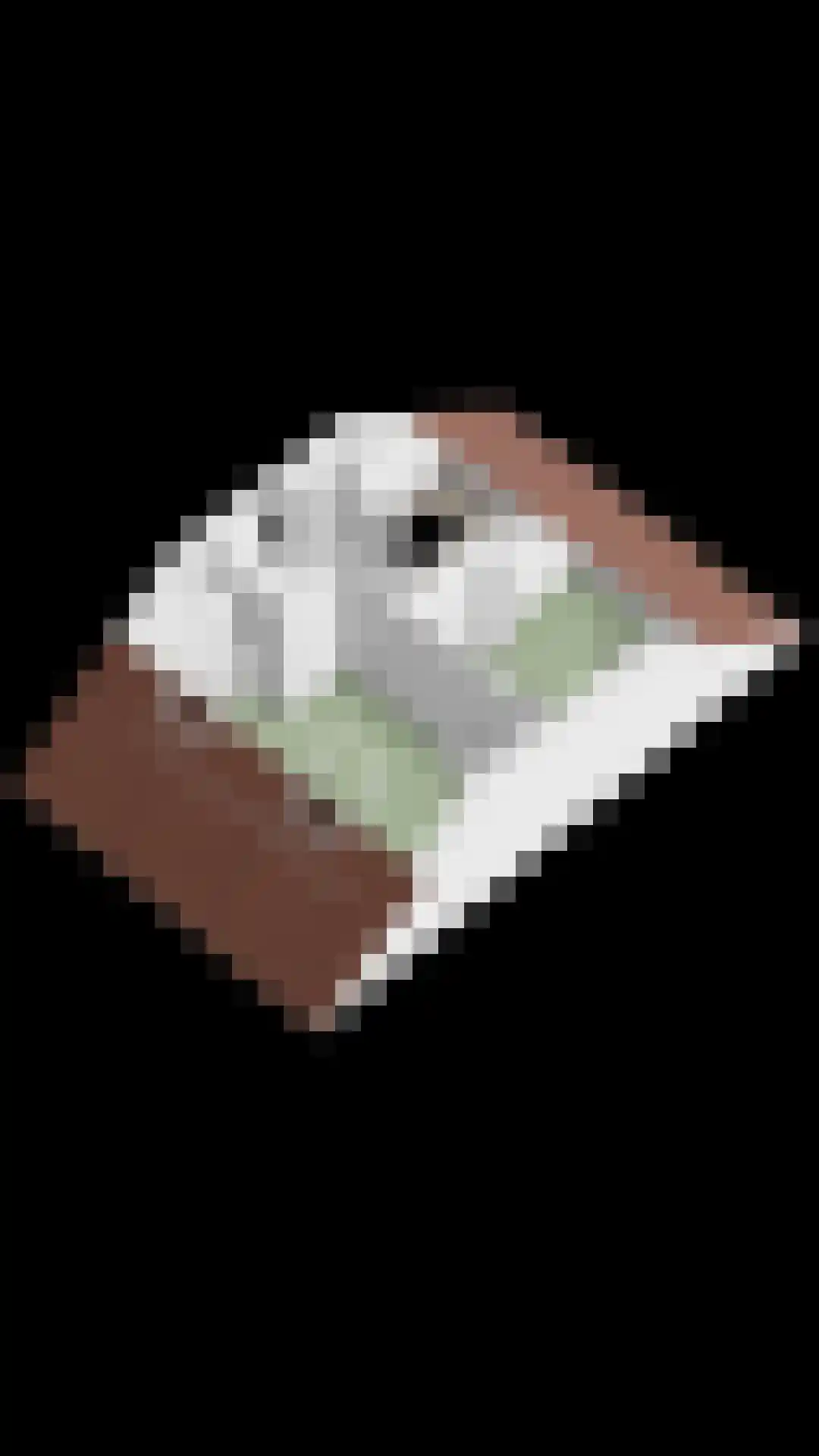 Eekhoornnest 14 Scherpenzeel thumbnail 41