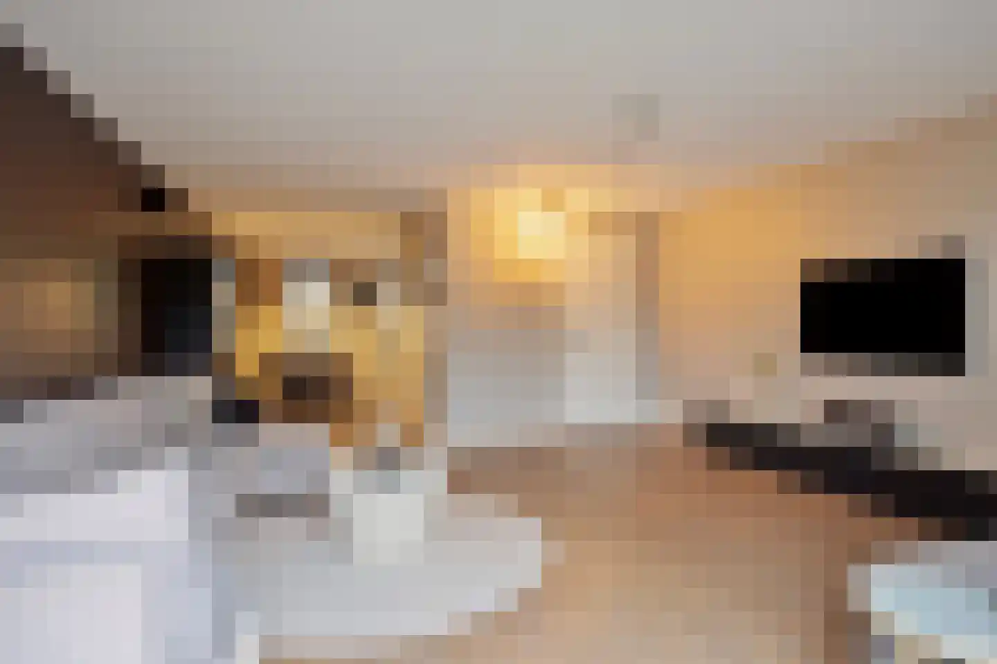 Eekhoornnest 14 Scherpenzeel thumbnail 6