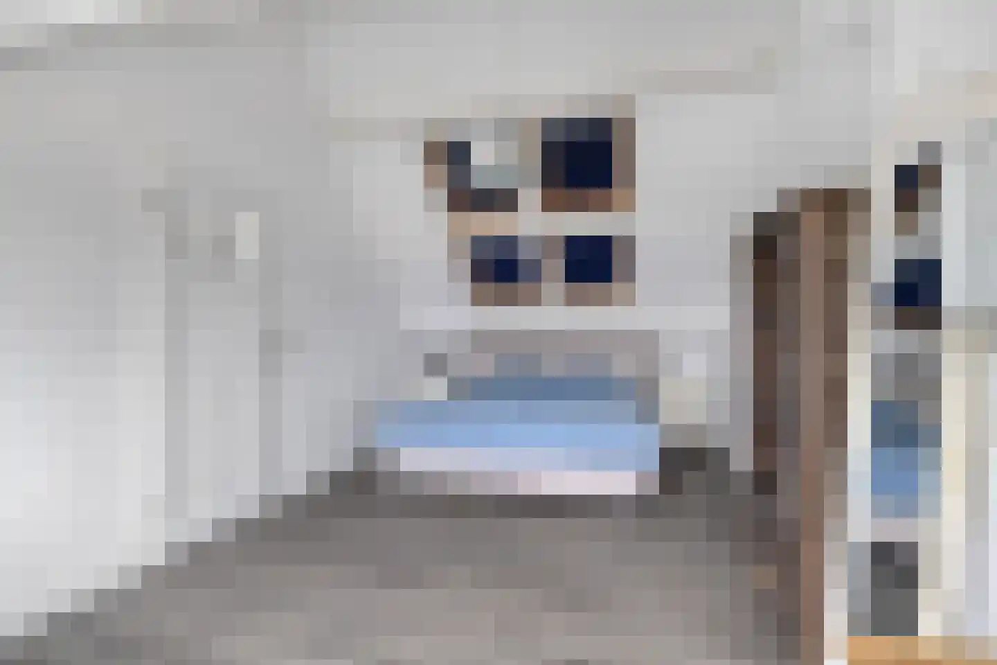 Eekhoornpad 12 Etten-Leur thumbnail 26