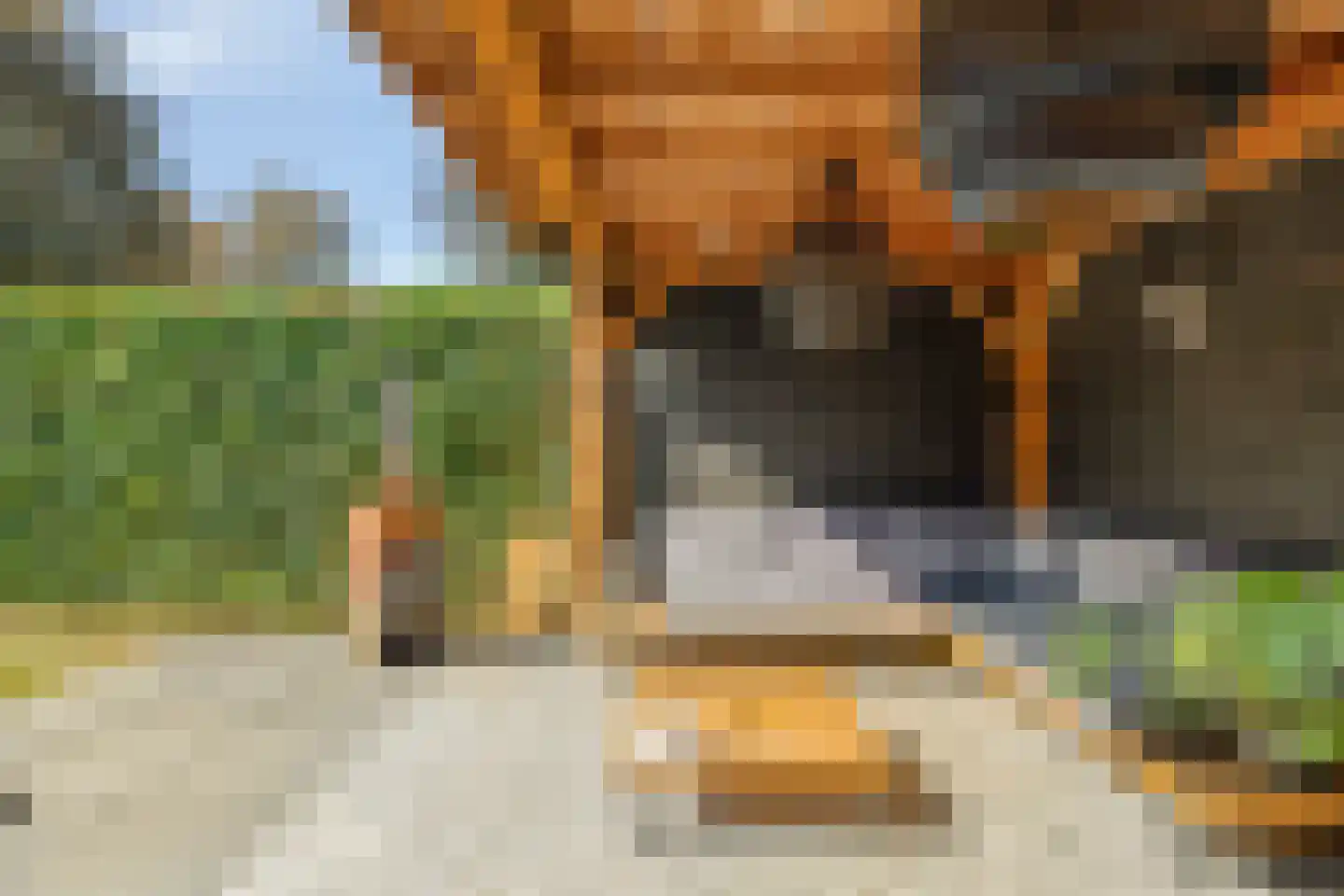 Eekhoornpad 12 Etten-Leur thumbnail 31