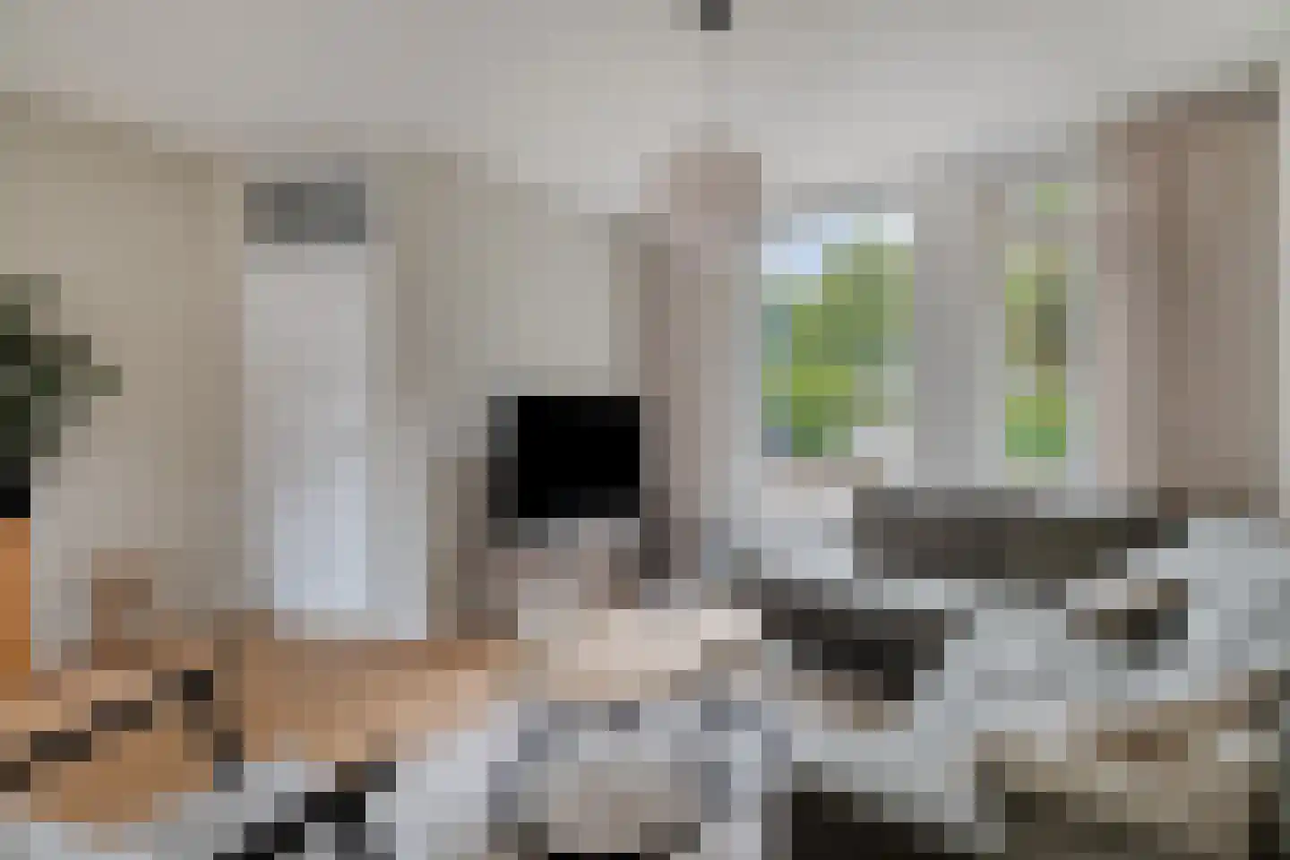 Eekhoornpad 12 Etten-Leur thumbnail 7