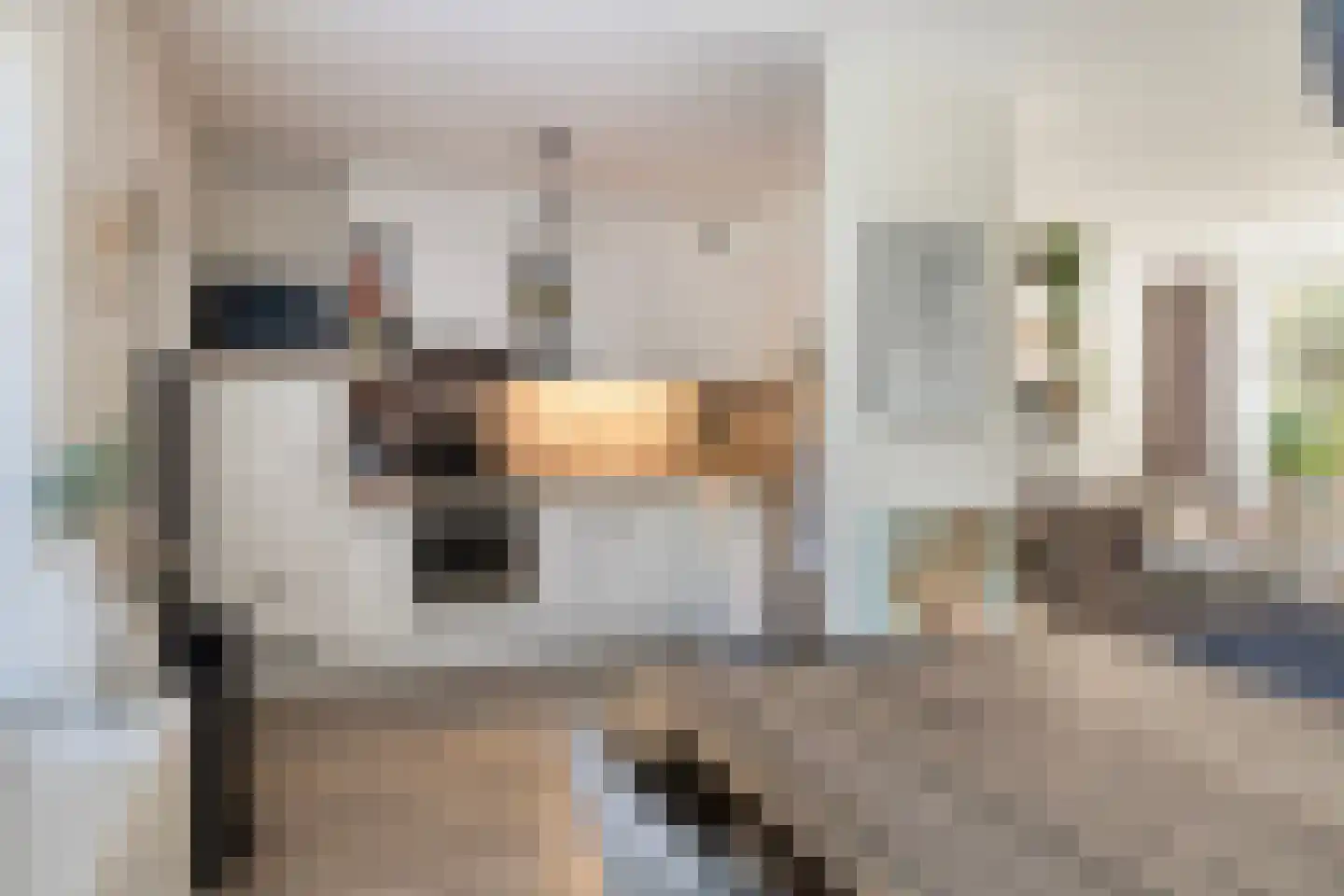 Eekhoornpad 14 Etten-Leur thumbnail 11