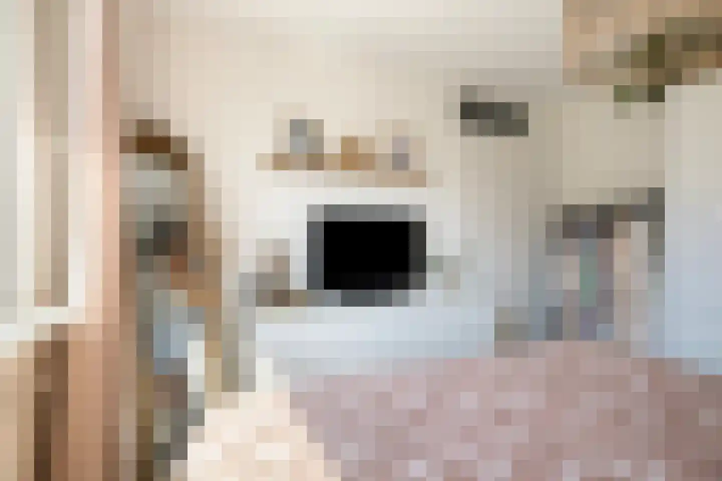 Eekhoornpad 14 Etten-Leur thumbnail 17