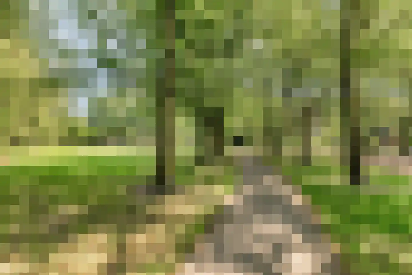 Eekhoornpad 14 Etten-Leur thumbnail 30
