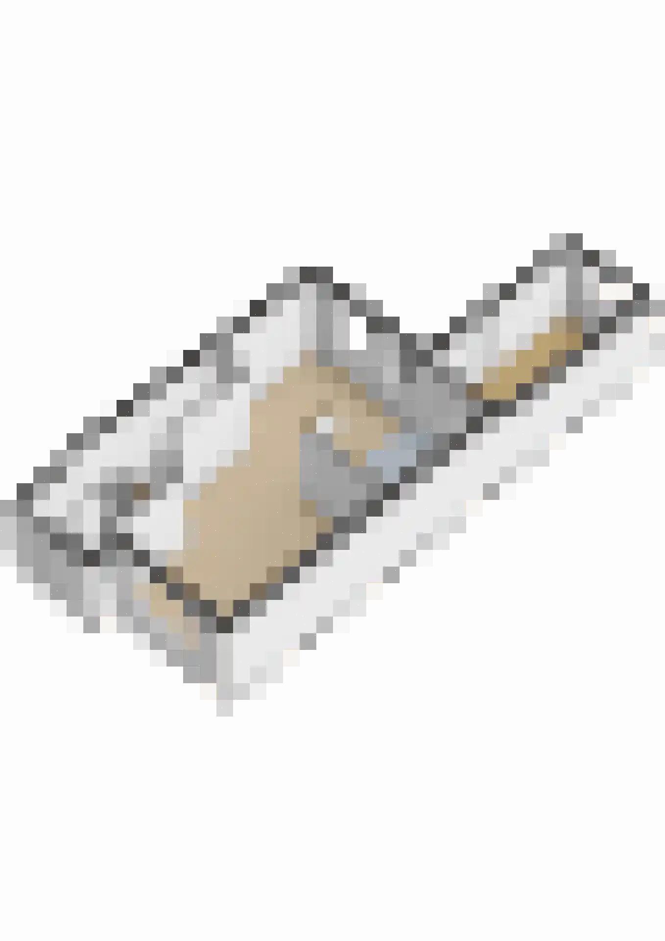 Eekhoornpad 14 Etten-Leur thumbnail 34