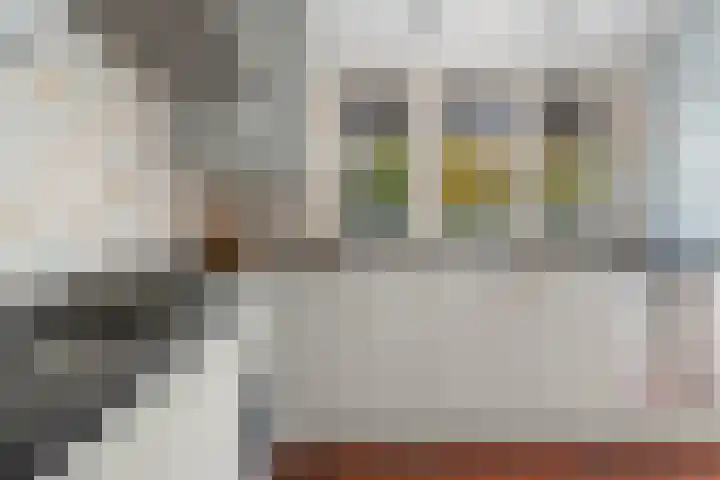Eekhoornpad 21 Etten-Leur thumbnail 16