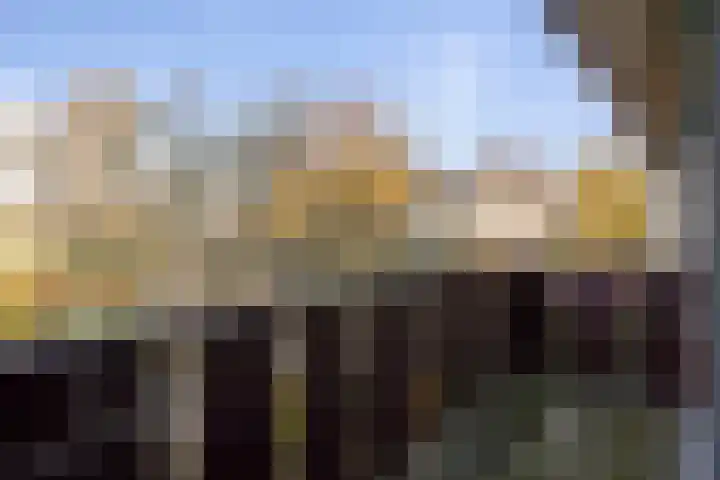 Eekhoornpad 21 Etten-Leur thumbnail 27