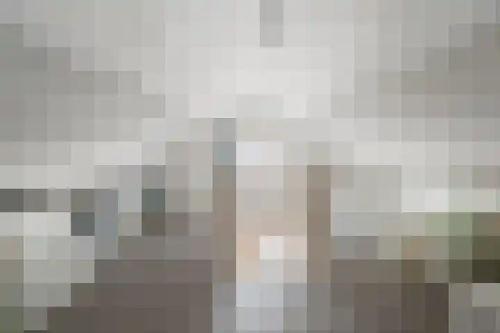 Eekhoornpad 21 Etten-Leur thumbnail 36