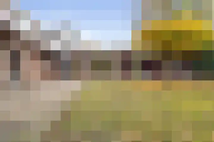 Eekhoornpad 21 Etten-Leur thumbnail 40