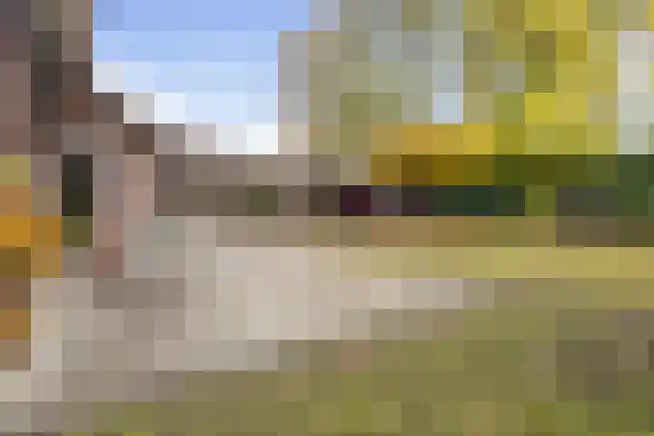 Eekhoornpad 21 Etten-Leur thumbnail 43