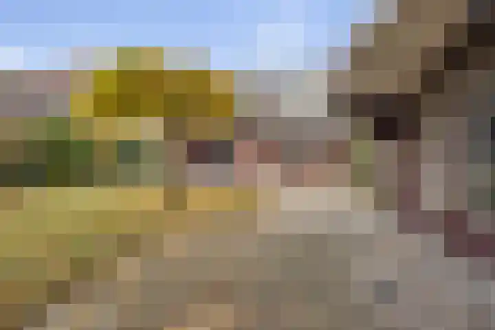 Eekhoornpad 21 Etten-Leur thumbnail 47