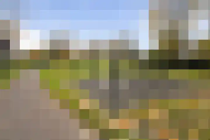 Eekhoornpad 21 Etten-Leur thumbnail 49