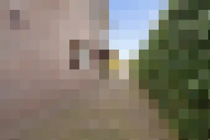 Eekhoornpad 21 Etten-Leur thumbnail 52