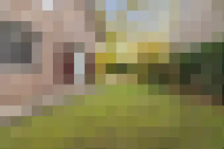 Eekhoornpad 21 Etten-Leur thumbnail 53