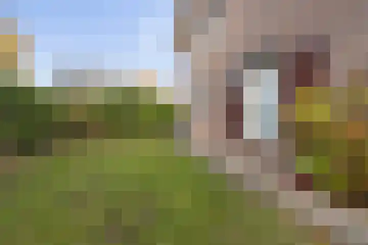 Eekhoornpad 21 Etten-Leur thumbnail 54