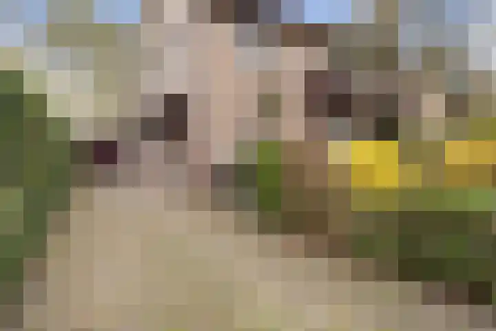 Eekhoornpad 21 Etten-Leur thumbnail 55