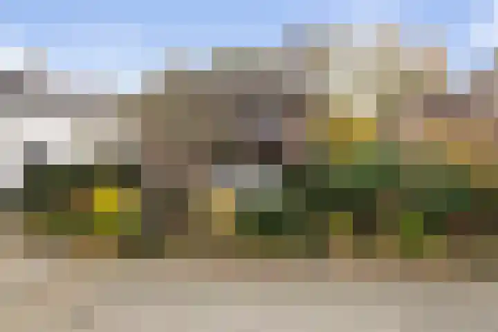 Eekhoornpad 21 Etten-Leur thumbnail 56