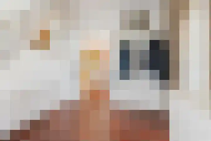 Eekhoornpad 21 Etten-Leur thumbnail 6