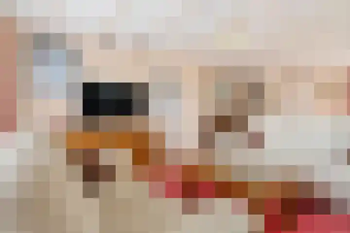 Eekhoornpad 21 Etten-Leur thumbnail 9