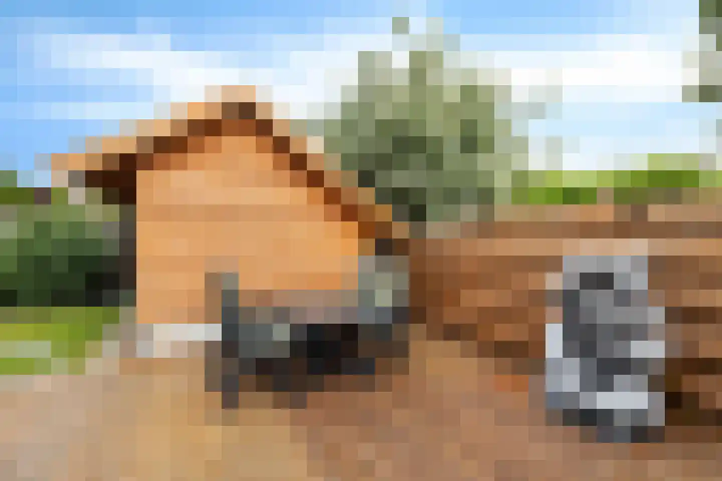 Eekhoornslag 37 Assen thumbnail 18