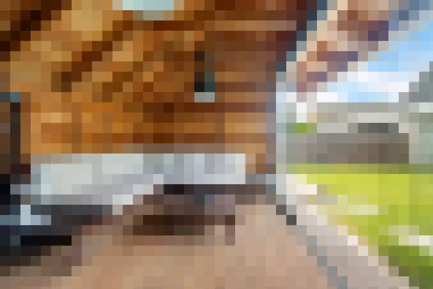 Eekhoornslag 37 Assen thumbnail 19