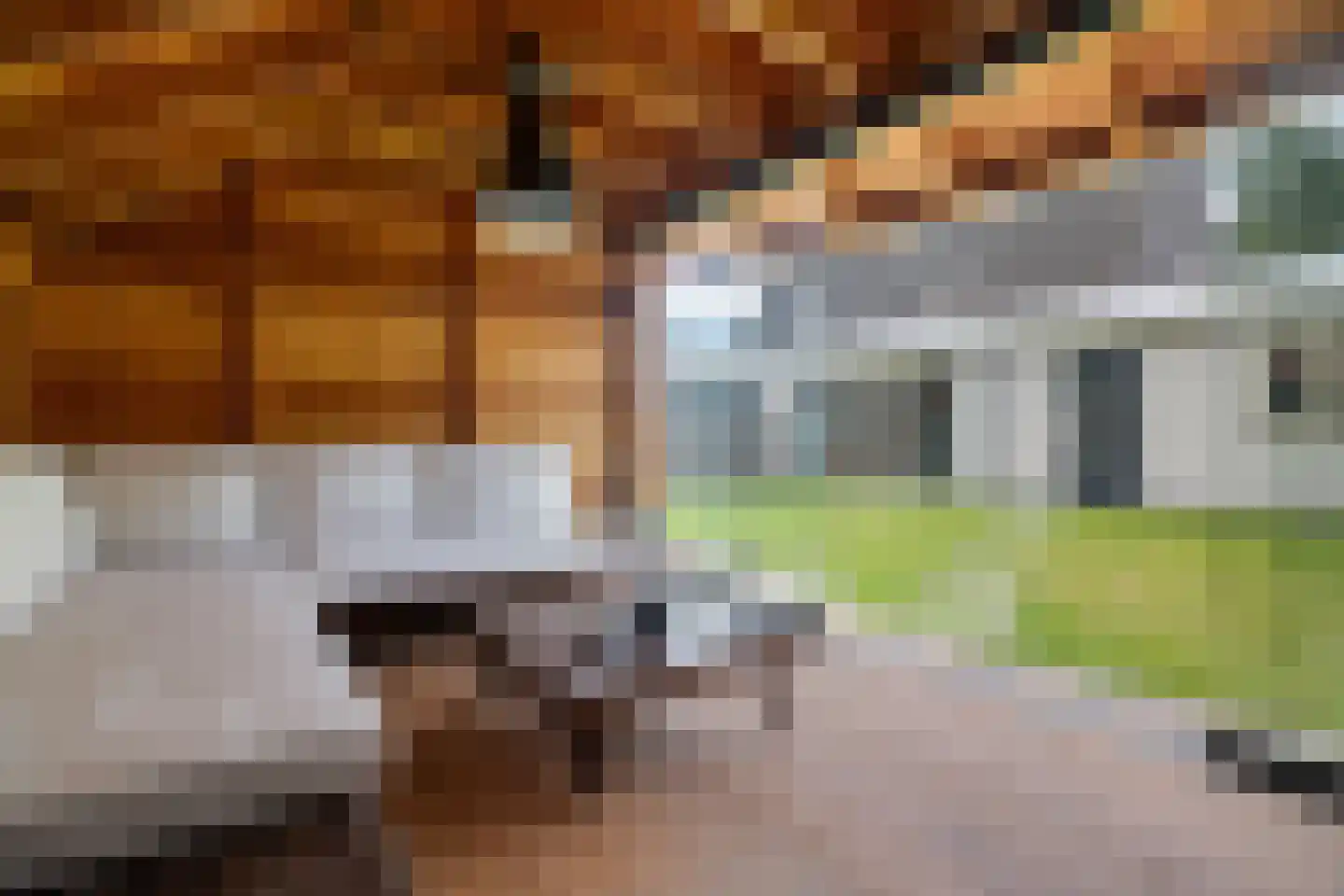 Eekhoornslag 37 Assen thumbnail 21
