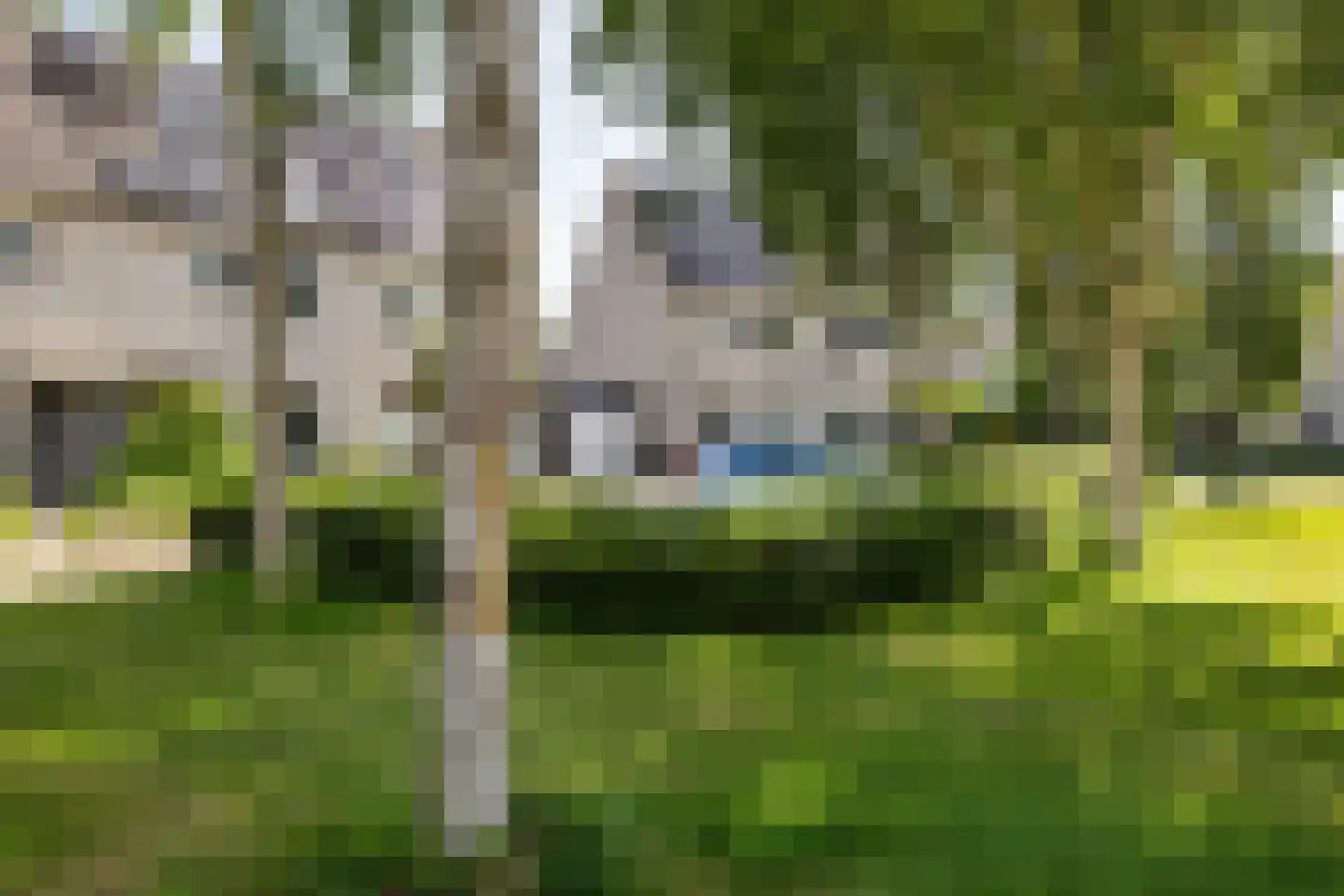 Eekhoornslag 37 Assen thumbnail 38