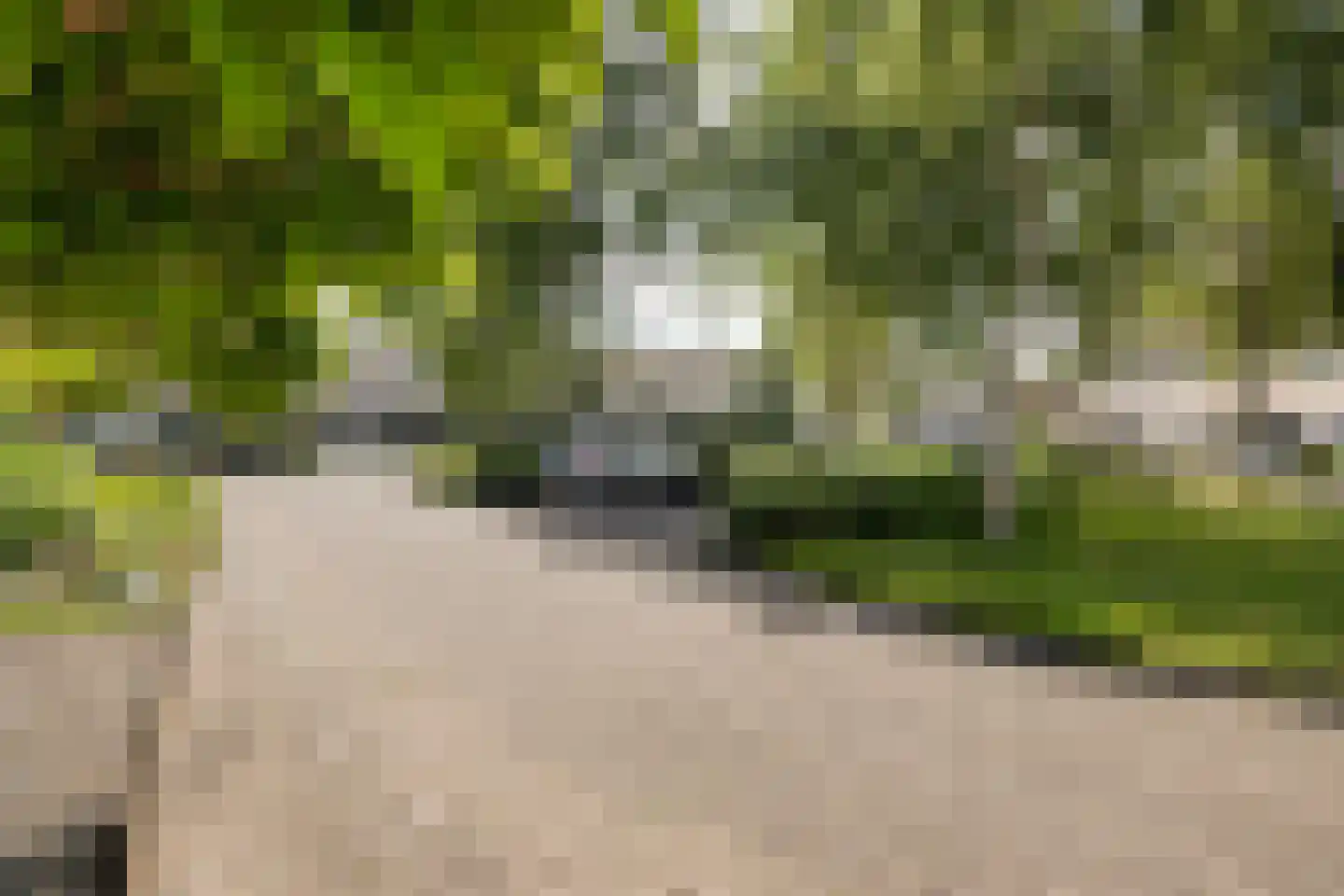 Eekhoornslag 37 Assen thumbnail 39