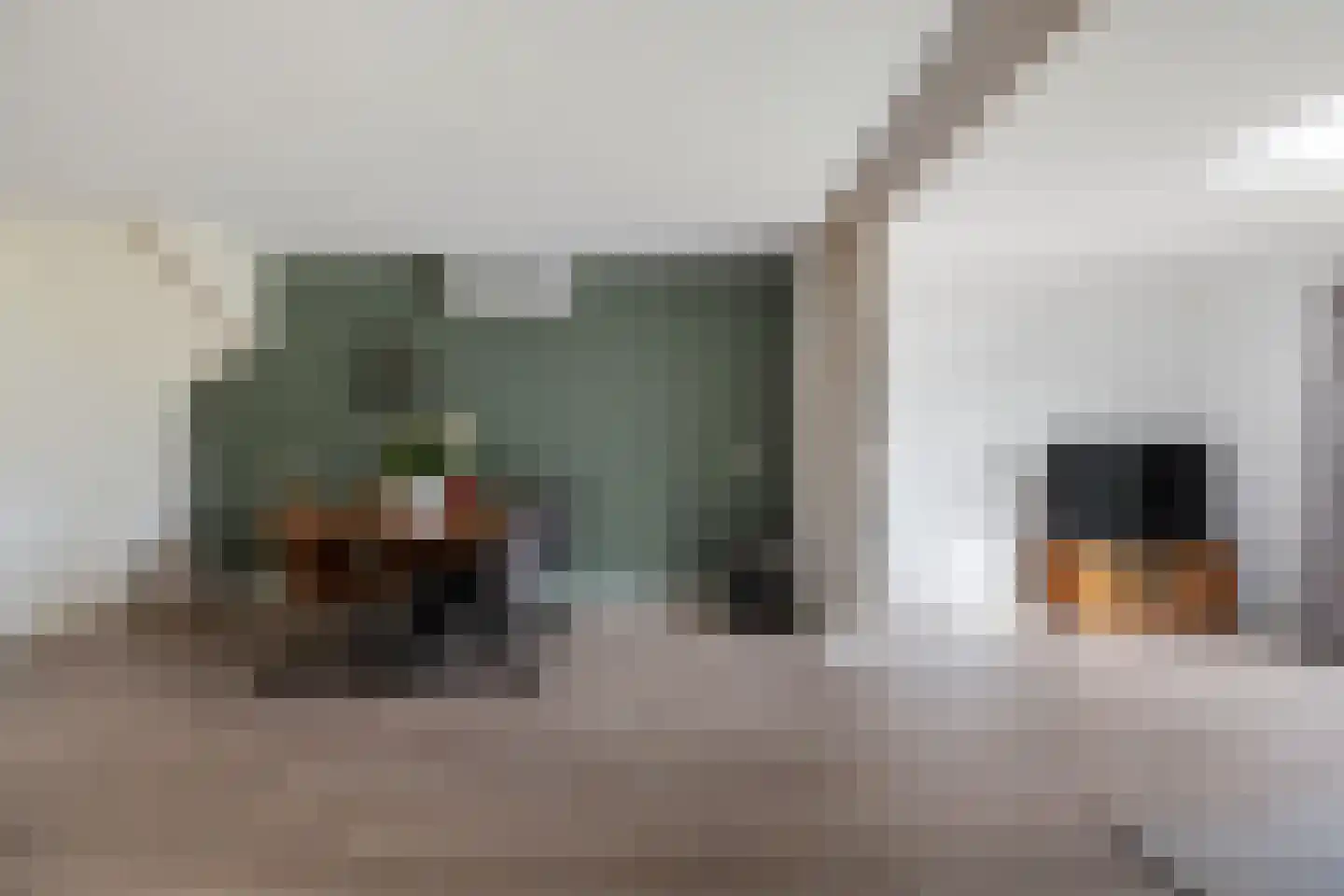 Eekhoornslag 37 Assen thumbnail 9