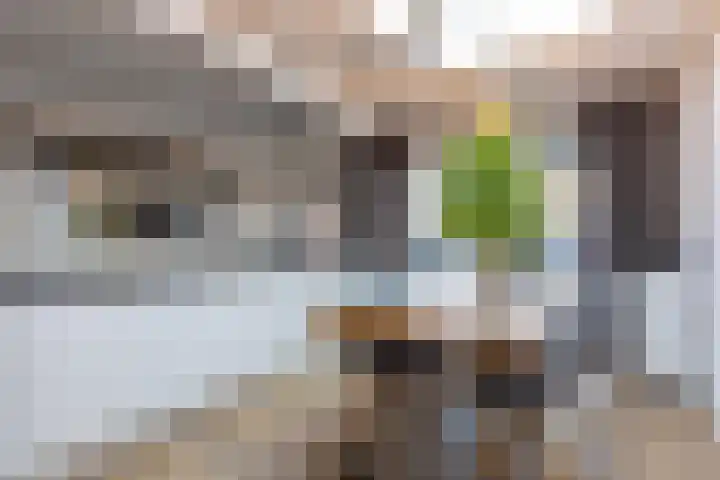 Eekhoornstraat 10 Heerlen thumbnail 5