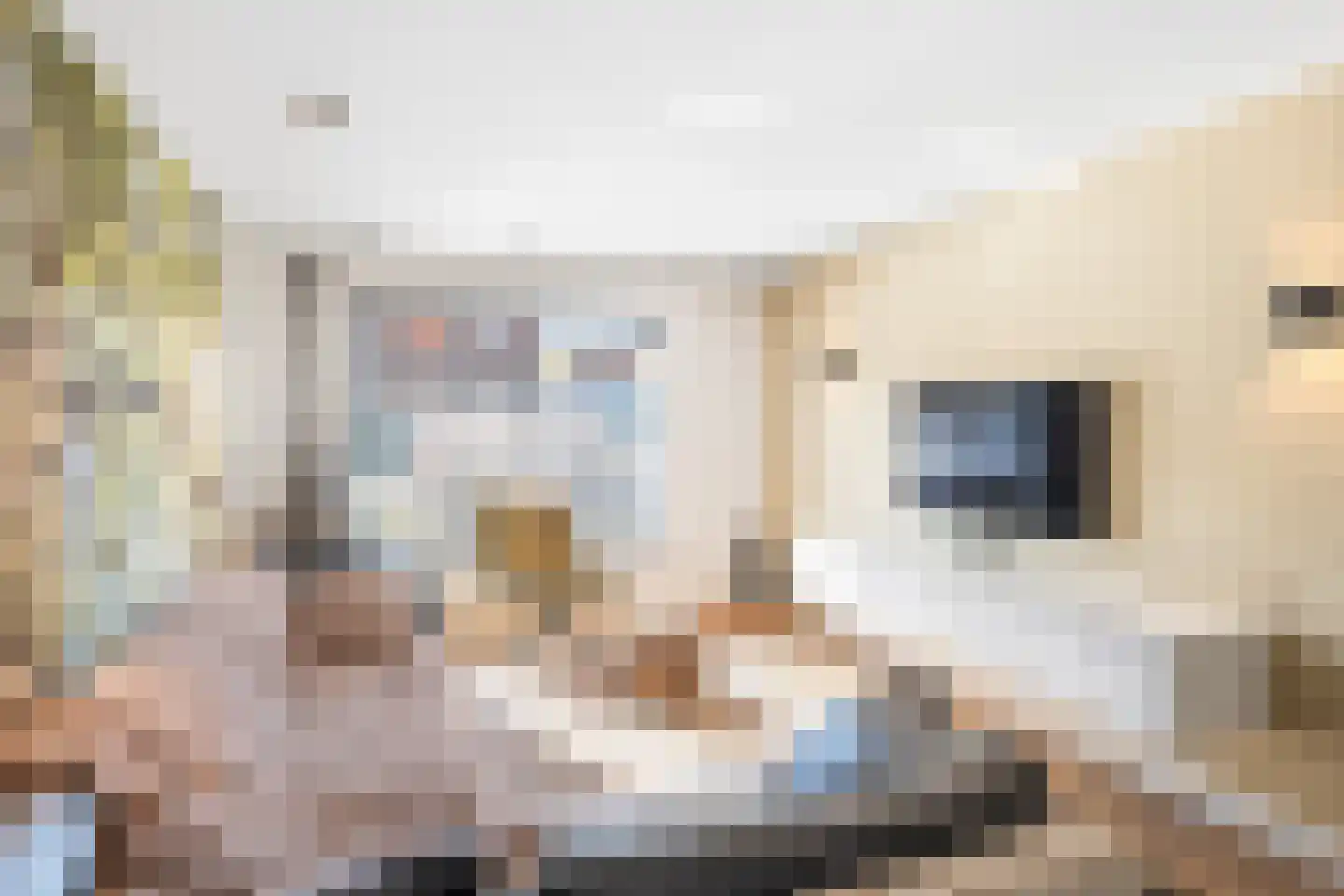 Eekhoornstraat 10 Heerlen thumbnail 6