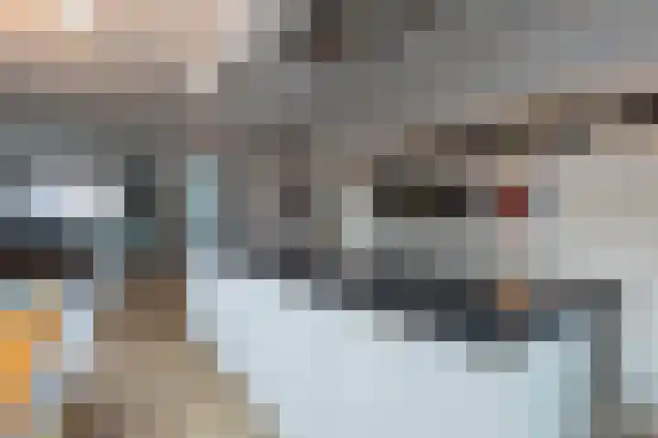 Eekhoornstraat 10 Heerlen thumbnail 6