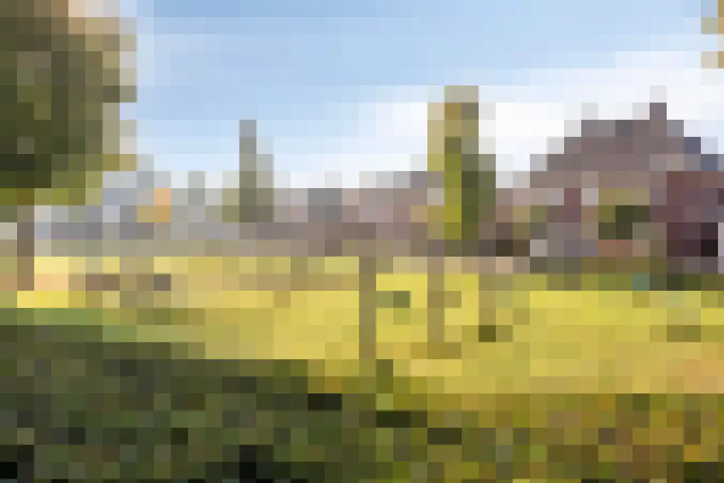 Eekhoornstraat 10 Heijen thumbnail 37