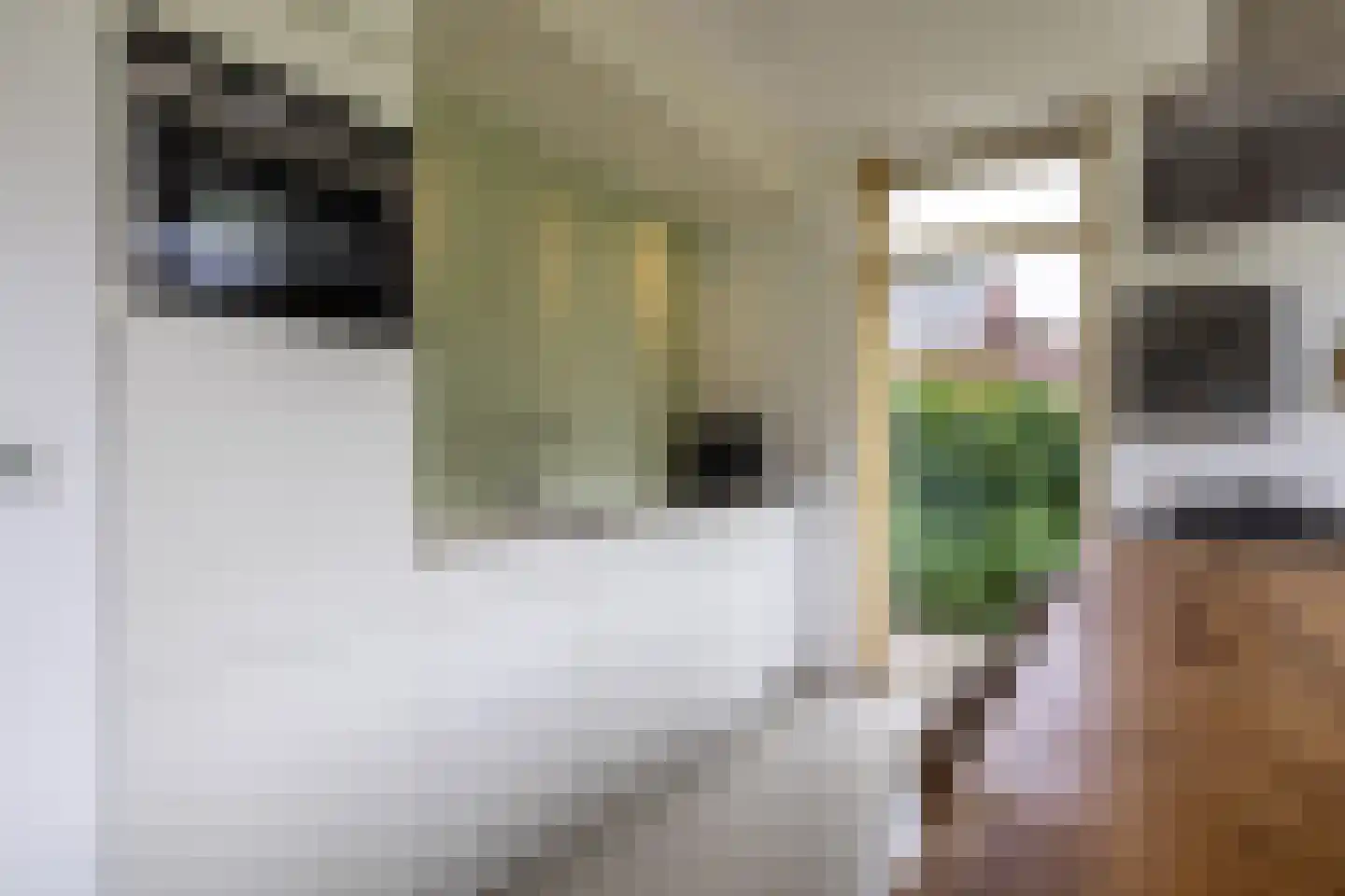 Eekhoornstraat 13 Heijen thumbnail 19