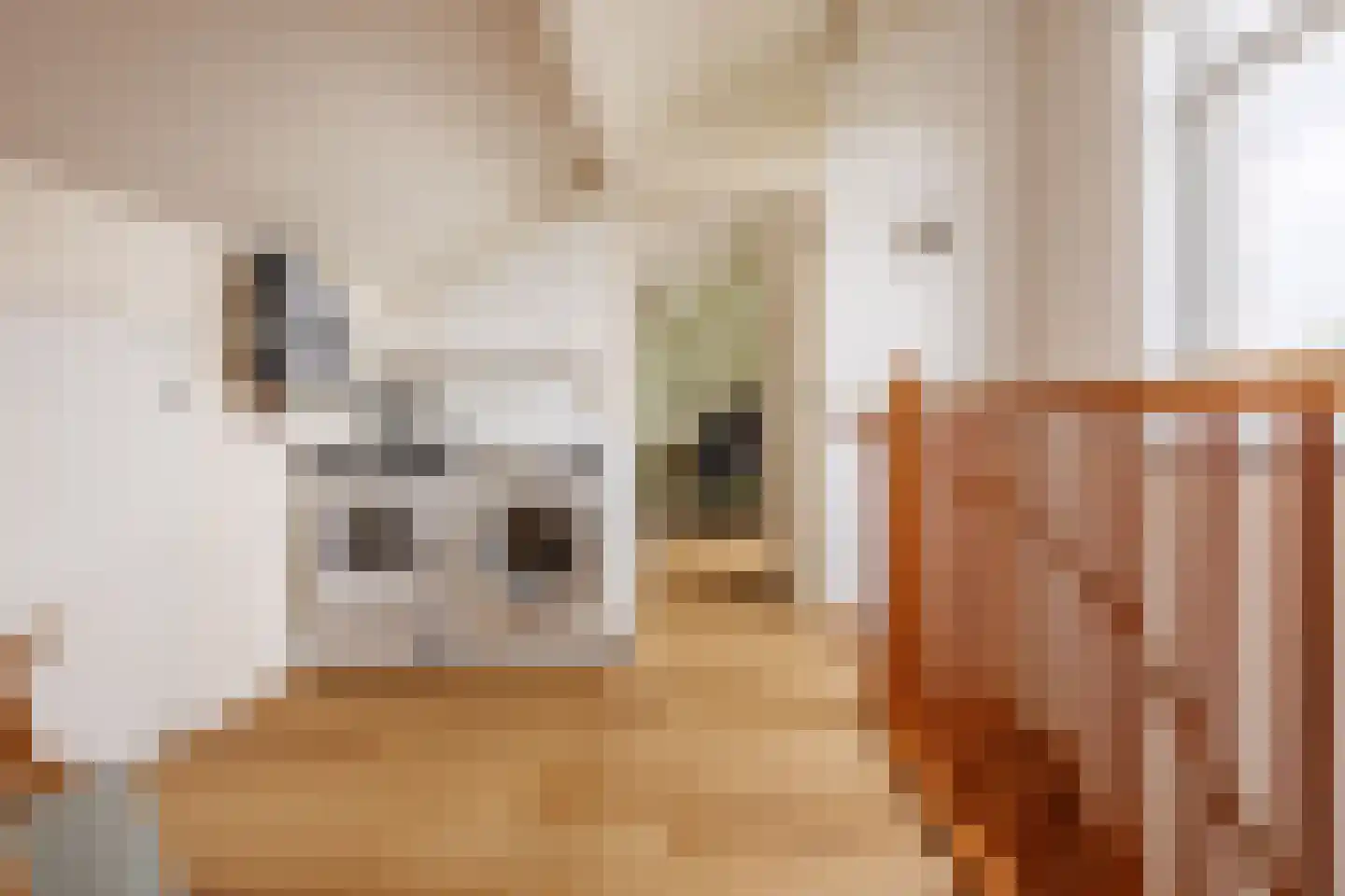 Eekhoornstraat 13 Heijen thumbnail 40