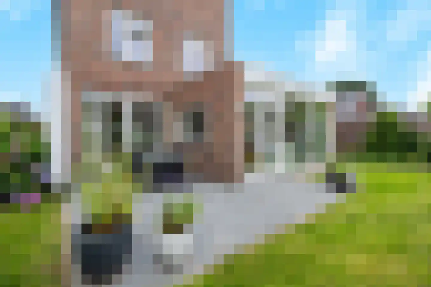 Eekhoornstraat 13 Heijen thumbnail 52