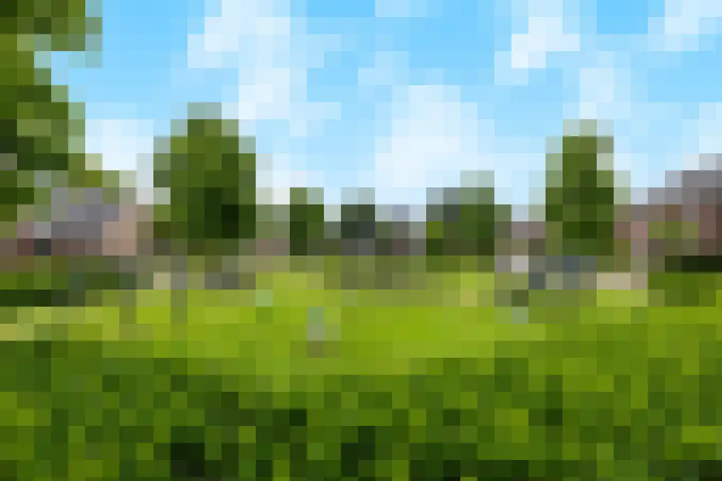 Eekhoornstraat 13 Heijen thumbnail 69