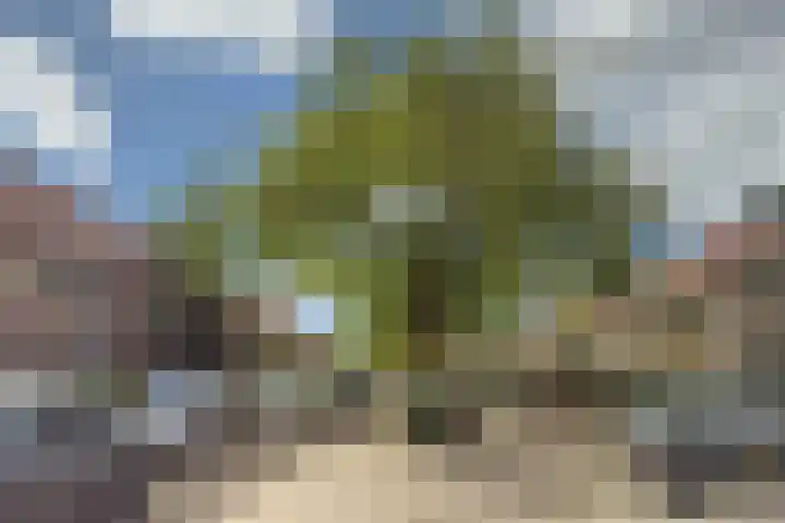 Eekhoornstraat 20 Hilversum thumbnail 30