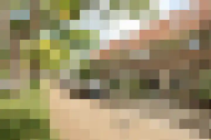 Eekhoornstraat 20 Hilversum thumbnail 31