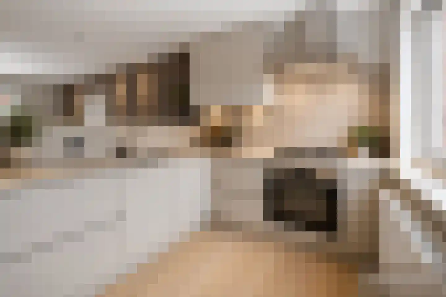 Eekhoornstraat 25 Arnhem thumbnail 10
