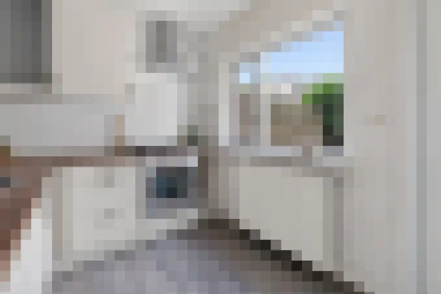 Eekhoornstraat 25 Arnhem thumbnail 11