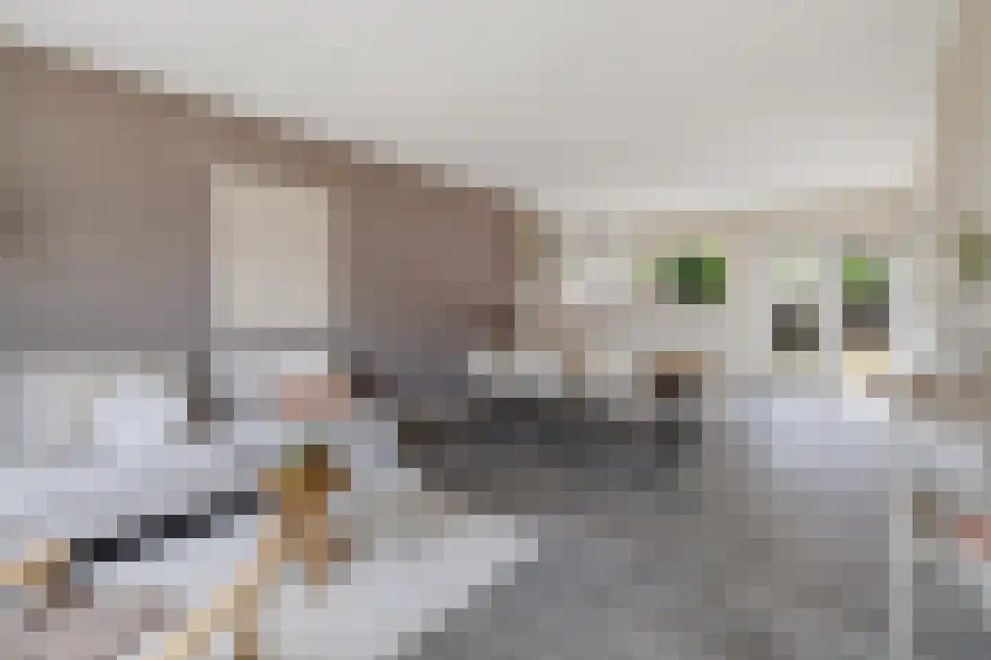 Eekhoornstraat 25 Arnhem thumbnail 7