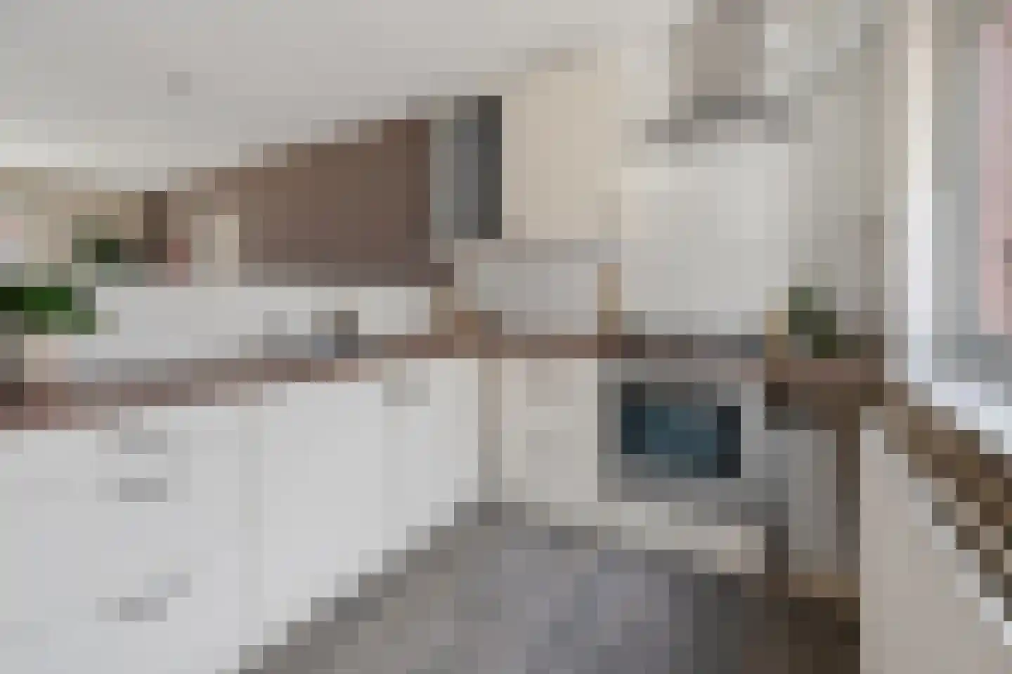 Eekhoornstraat 25 Arnhem thumbnail 9