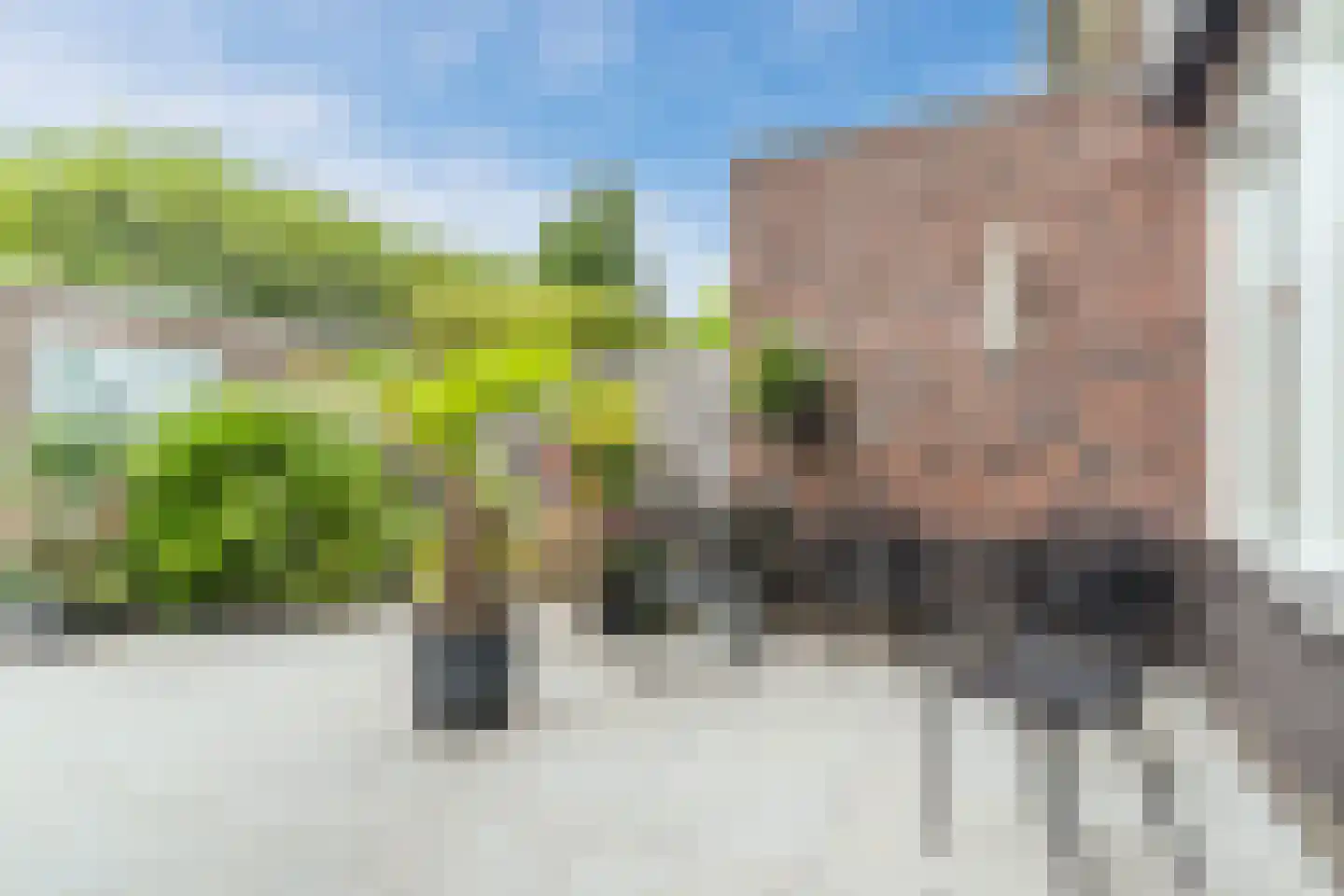 Eekhoornstraat 30 Culemborg thumbnail 33