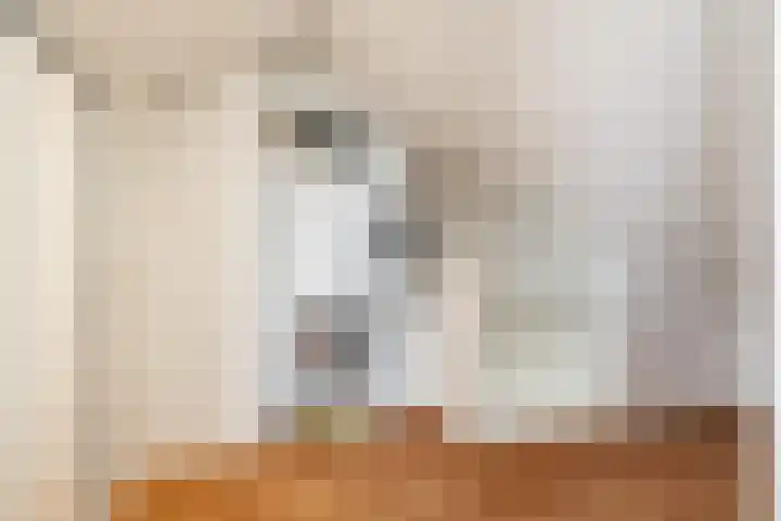 Eekhoornstraat 31 Breda thumbnail 31