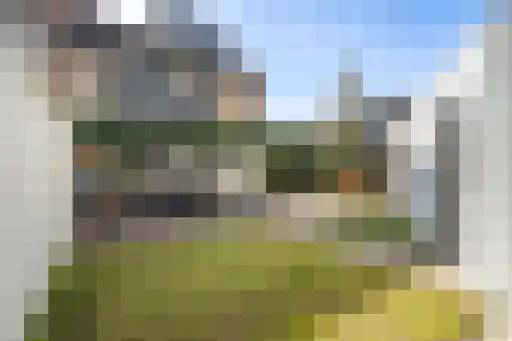 Eekhoornstraat 31 Breda thumbnail 32