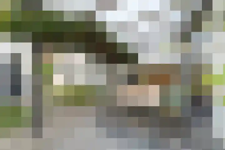 Eekhoornstraat 31 Breda thumbnail 33